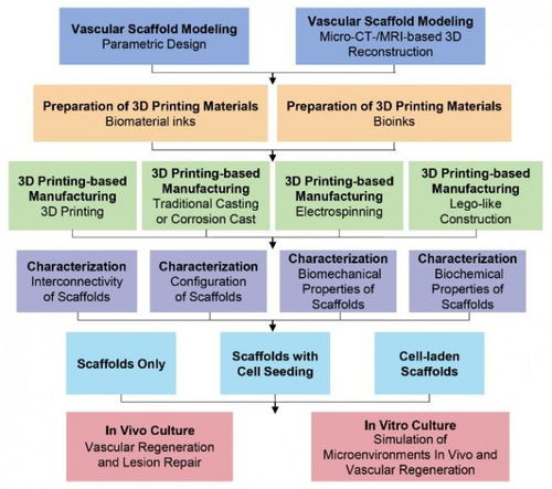 哈工大3D打印技術(shù)助力血管再生 組織工程支架的創(chuàng)新突破